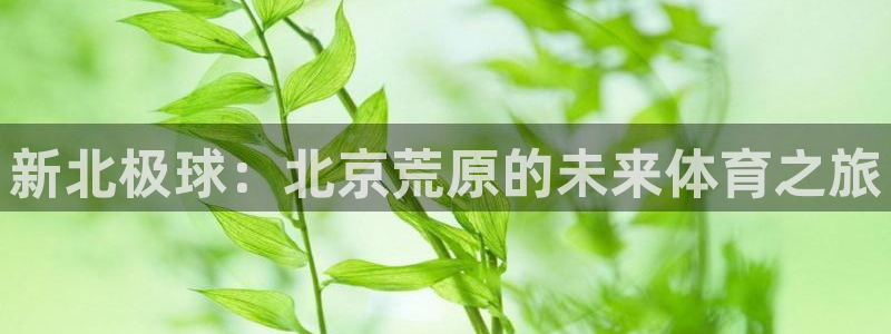betway西汉姆
