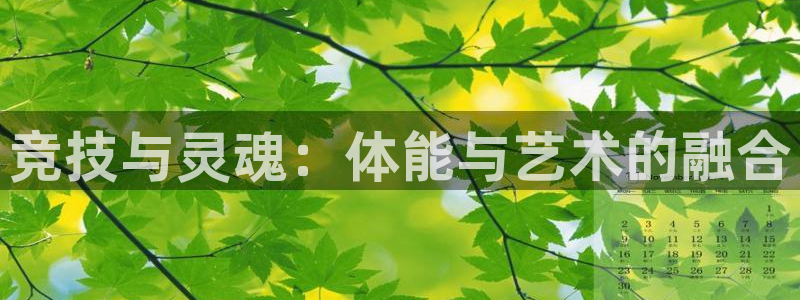betway西汉姆：竞技与灵魂：体能与艺术的融合