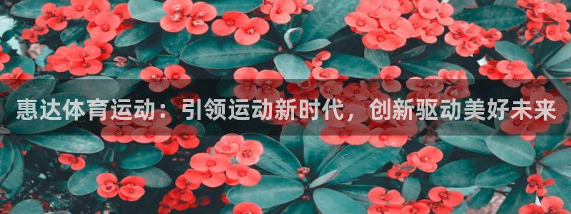betway西汉姆联：惠达体育运动：引领运动新时代，创新驱动美好未来