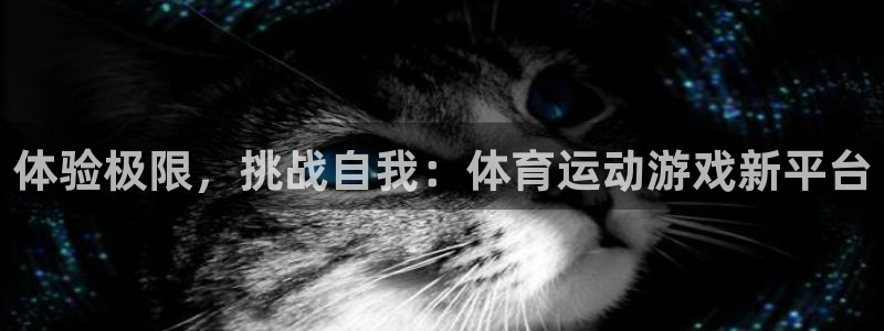 betway西汉姆：体验极限，挑战自我：体育运动游戏新平台