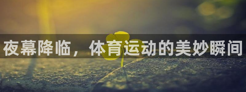 betway西汉姆联官网