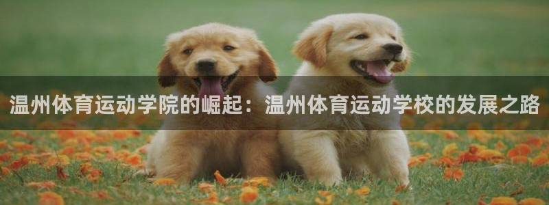 betway西汉姆