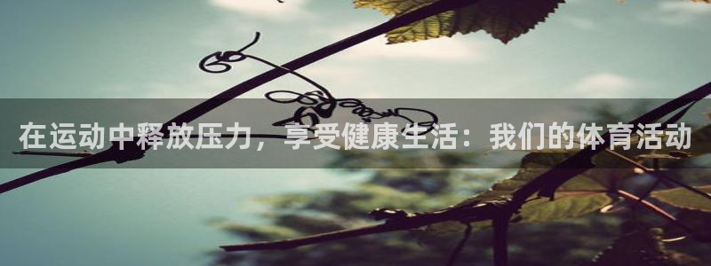 betway西汉姆联官网：在运动中释放压力，享受健康生活：我们的体育活动