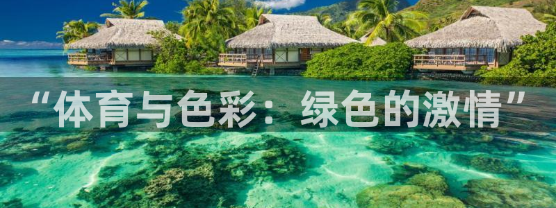 betway西汉姆官网：“体育与色彩：绿色的激情”